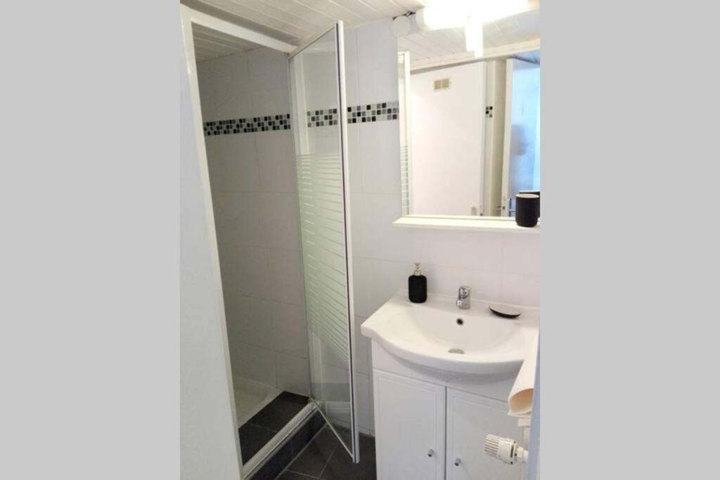 Appartement Cosy Rue Sainte Madeleine Strasburg Zewnętrze zdjęcie