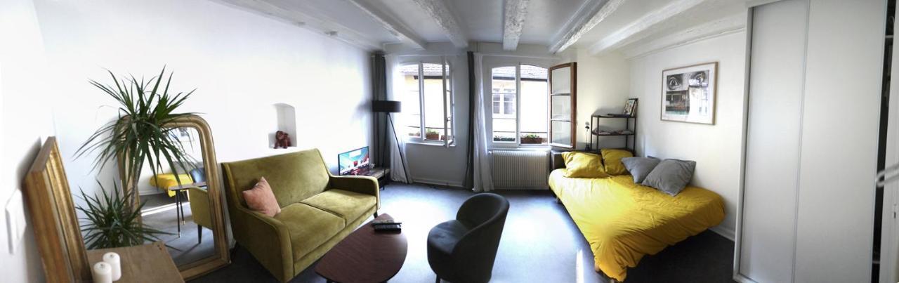 Appartement Cosy Rue Sainte Madeleine Strasburg Zewnętrze zdjęcie